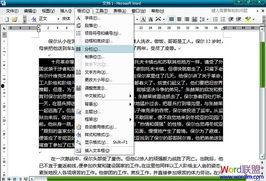 头条中如何分栏,轻松打造多维度内容布局