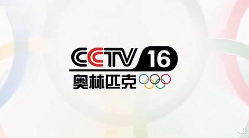 今日头条 体育频道,聚焦热点赛事，盘点精彩瞬间