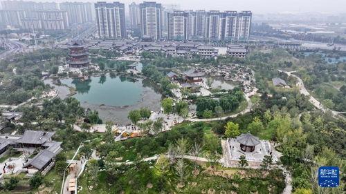 众春园定州吃瓜,夏日吃瓜盛宴，尽享清凉时光