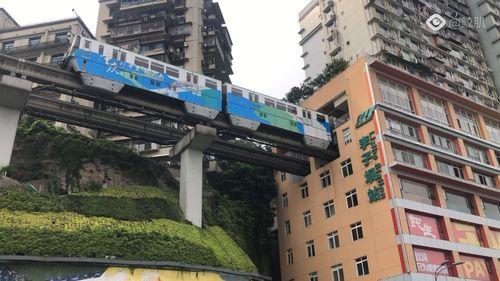 重庆杨家坪女网红事件,网络暴力与隐私权的冲突