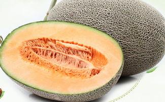 来例假可以吃哈密瓜,哈密瓜的神奇功效与美味享受”