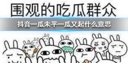 抖音怎么免费吃瓜,轻松免费吃遍热门抖音瓜