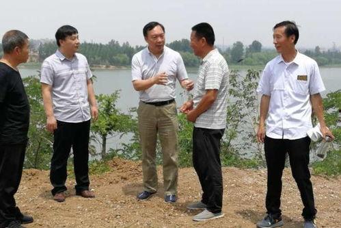 殷都区石涧镇新闻头条,石涧镇焕新颜，乡村振兴谱新篇