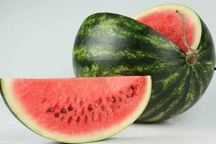 成都的吃瓜自己成了瓜,意外成为全民焦点瓜王