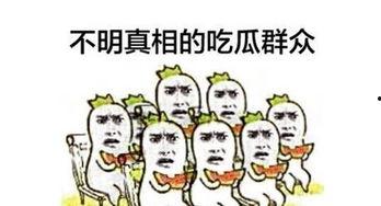吃瓜群众都准备什么,他们都在准备什么？