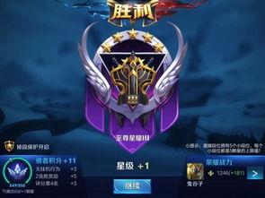 明星的王者荣耀段位,明星段位揭秘，巅峰对决背后的实力与荣耀