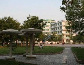 滨州学院有谁是网红,揭秘校园里的网络红人风采