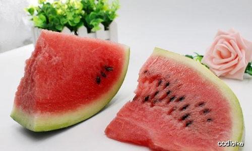 带你吃瓜讲奇葩鱼儿,带你吃瓜讲奇葩鱼儿，揭秘水族界的奇闻异事