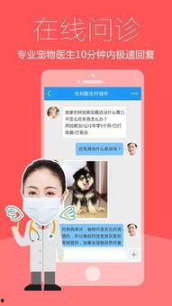 头条宠物医生创作者认证,专业守护，爱宠健康无忧