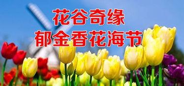 头条上浇水送水果快吗,速度惊人，体验新潮流！”