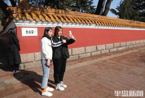 网红墙围栏,时尚与创意的完美融合