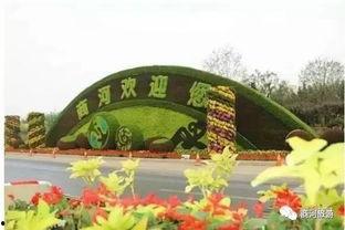 商河今日头条于家山,聚焦于家山，探寻乡村发展新篇章”