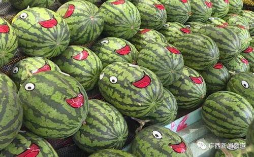 娱乐吃瓜的声音素材,揭秘吃瓜群众的狂欢盛宴